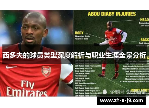 西多夫的球员类型深度解析与职业生涯全景分析